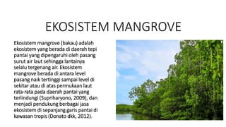 EKOSISTEM MANGROVE
Ekosistem mangrove (bakau) adalah
ekosistem yang berada di daerah tepi
pantai yang dipengaruhi oleh pasang
surut air laut sehingga lantainya
selalu tergenang air. Ekosistem
mangrove berada di antara level
pasang naik tertinggi sampai level di
sekitar atau di atas permukaan laut
rata-rata pada daerah pantai yang
terlindungi (Supriharyono, 2009), dan
menjadi pendukung berbagai jasa
ekosistem di sepanjang garis pantai di
kawasan tropis (Donato dkk, 2012).
 