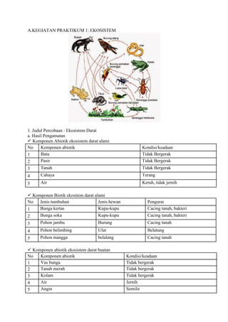 A.KEGIATAN PRAKTIKUM 1: EKOSISTEM
1. Judul Percobaan : Ekosistem Darat
a. Hasil Pengamatan
 Komponen Abiotik ekosistem darat alami
No Komponen abiotik Kondisi/keadaan
1 Batu Tidak Bergerak
2 Pasir Tidak Bergerak
3 Tanah Tidak Bergerak
4 Cahaya Terang
5 Air Keruh, tidak jernih
 Komponen Biotik ekositem darat alami
No Jenis tumbuhan Jenis hewan Pengurai
1 Bunga kertas Kupu-kupu Cacing tanah, bakteri
2 Bunga soka Kupu-kupu Cacing tanah, bakteri
3 Pohon jambu Burung Cacing tanah
4 Pohon belimbing Ulat Belatung
5 Pohon mangga belalang Cacing tanah
 Komponen abiotik ekosistem darat buatan
No Komponen abiotik Kondisi/keadaan
1 Vas bunga Tidak bergerak
2 Tanah merah Tidak bergerak
3 Kolam Tidak bergerak
4 Air Jernih
5 Angin Semilir
 