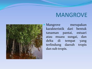 MANGROVE
 Mangrove

merupakan
karakteristik dari bentuk
tanaman pantai, estuari
atau muara sungai, dan
delta di tempat yang
terlindung daerah tropis
dan sub tropis.

 