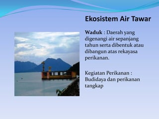 Ekosistem Air Tawar
Waduk : Daerah yang
digenangi air sepanjang
tahun serta dibentuk atau
dibangun atas rekayasa
perikanan.

Kegiatan Perikanan :
Budidaya dan perikanan
tangkap

 