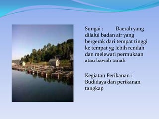 Sungai :
Daerah yang
dilalui badan air yang
bergerak dari tempat tinggi
ke tempat yg lebih rendah
dan melewati permukaan
atau bawah tanah
Kegiatan Perikanan :
Budidaya dan perikanan
tangkap

 