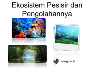 Ekosistem Pesisir dan
  Pengolahannya




              terangi.or.id
 