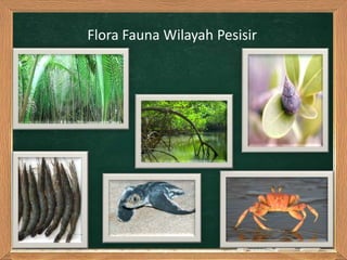 Flora Fauna Wilayah Pesisir
 