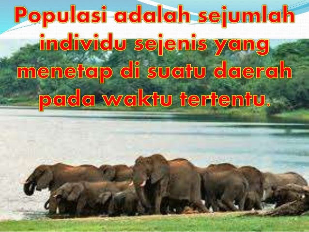 IPA Kelas VII - Ekosistem