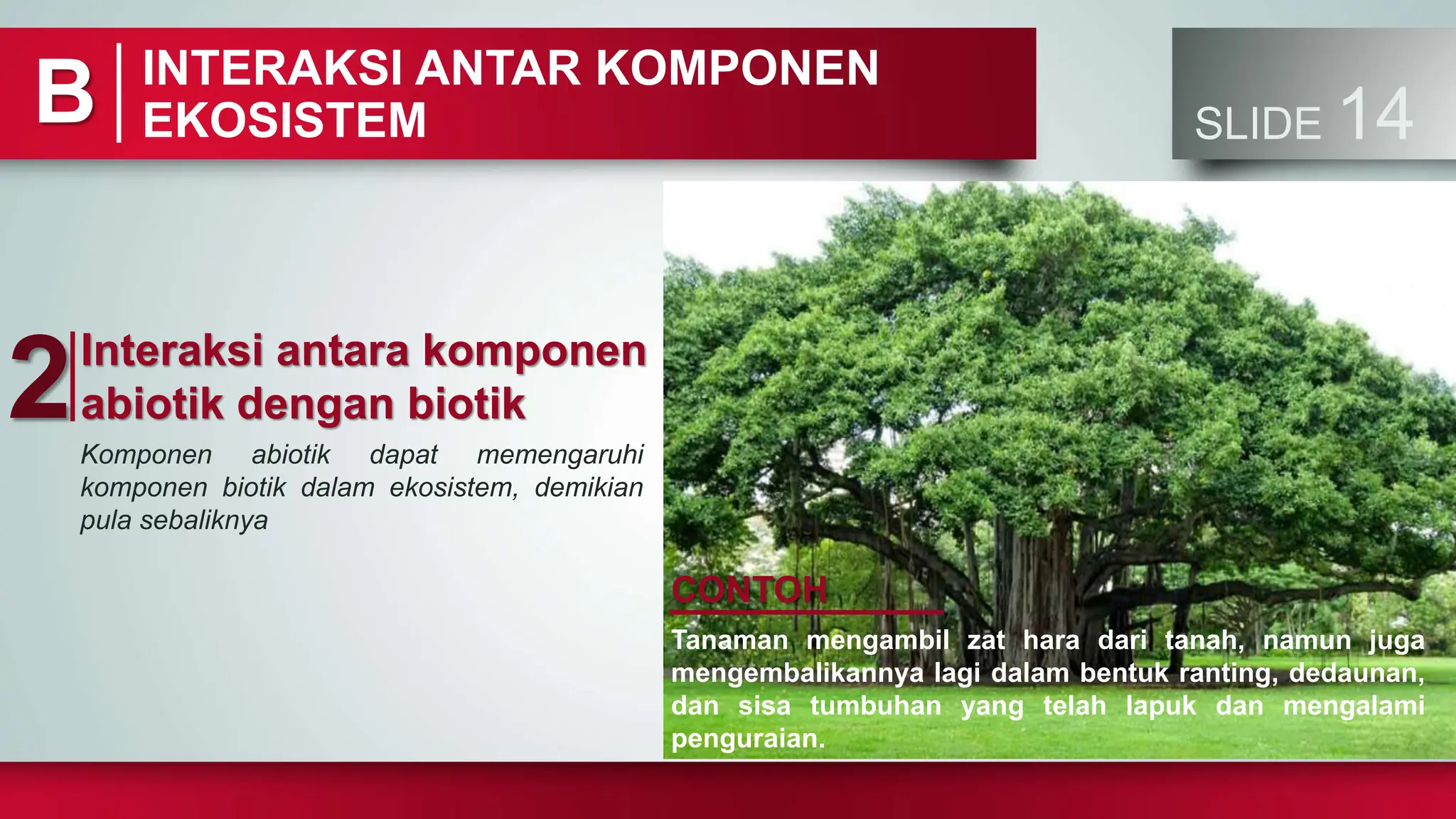 Materi Ekosistem Kelas X (Sepuluh) Sekolah Menengah Atas PPTX — free download