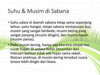 Suhu & Musim di Sabana
• Suhu udara di daerah sabana tetap sama sepanjang
tahun, yaitu hangat, tetapi sabana mempunyai dua
musim yang sangat berbeda; musim kering yang
sangat panjang (musim dingin), dan musim basah
(musim panas).
• Pada musim kering, hanya ada kira-kira empat inci
curah hujan. Di antara bulan Desember dan
Februari bahkan tidak ada hujan sama sekali.
Namun anehnya, di musim kering tersebut cuaca
terasa lebih dingin dari biasa.
 