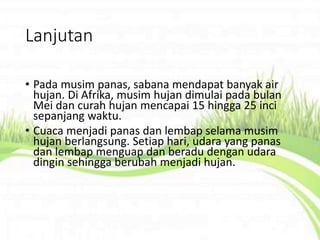 Lanjutan
• Pada musim panas, sabana mendapat banyak air
hujan. Di Afrika, musim hujan dimulai pada bulan
Mei dan curah hujan mencapai 15 hingga 25 inci
sepanjang waktu.
• Cuaca menjadi panas dan lembap selama musim
hujan berlangsung. Setiap hari, udara yang panas
dan lembap menguap dan beradu dengan udara
dingin sehingga berubah menjadi hujan.
 