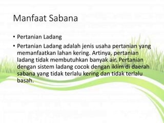 Manfaat Sabana
• Pertanian Ladang
• Pertanian Ladang adalah jenis usaha pertanian yang
memanfaatkan lahan kering. Artinya, pertanian
ladang tidak membutuhkan banyak air. Pertanian
dengan sistem ladang cocok dengan iklim di daerah
sabana yang tidak terlalu kering dan tidak terlalu
basah.
 
