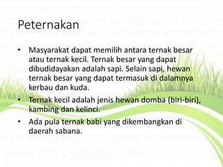 Peternakan
• Masyarakat dapat memilih antara ternak besar
atau ternak kecil. Ternak besar yang dapat
dibudidayakan adalah sapi. Selain sapi, hewan
ternak besar yang dapat termasuk di dalamnya
kerbau dan kuda.
• Ternak kecil adalah jenis hewan domba (biri-biri),
kambing dan kelinci.
• Ada pula ternak babi yang dikembangkan di
daerah sabana.
 