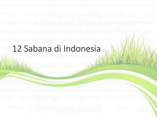 12 Sabana di Indonesia
 