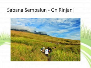 Sabana Sembalun - Gn Rinjani
 