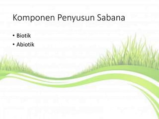 Komponen Penyusun Sabana
• Biotik
• Abiotik
 