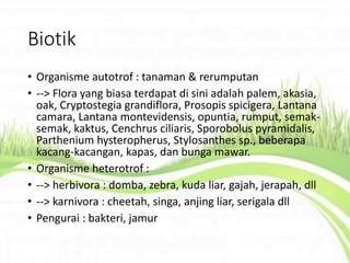 Biotik
• Organisme autotrof : tanaman & rerumputan
• --> Flora yang biasa terdapat di sini adalah palem, akasia,
oak, Cryptostegia grandiflora, Prosopis spicigera, Lantana
camara, Lantana montevidensis, opuntia, rumput, semak-
semak, kaktus, Cenchrus ciliaris, Sporobolus pyramidalis,
Parthenium hysteropherus, Stylosanthes sp., beberapa
kacang-kacangan, kapas, dan bunga mawar.
• Organisme heterotrof :
• --> herbivora : domba, zebra, kuda liar, gajah, jerapah, dll
• --> karnivora : cheetah, singa, anjing liar, serigala dll
• Pengurai : bakteri, jamur
 