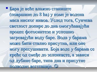 Бара је веће влажно стаништеБара је веће влажно станиште
(површине до 8 ha) у коме је водена(површине до 8 ha) у коме је водена
маса ниског нивоа. Услед тога, Сунчевамаса ниског нивоа. Услед тога, Сунчева
светлост допире до дна омогућавајућисветлост допире до дна омогућавајући
процес фотосинтезе и успешнопроцес фотосинтезе и успешно
загревајући воду баре. Вода у барамазагревајући воду баре. Вода у барама
може бити стално присутна, или онеможе бити стално присутна, или оне
могу пресушивати. Боја воде у барама семогу пресушивати. Боја воде у барама се
креће од смеђе до зеленкасте, а зависикреће од смеђе до зеленкасте, а зависи
од дубине баре, типа дна и присутнеод дубине баре, типа дна и присутне
подводне вегетације.подводне вегетације. 
 