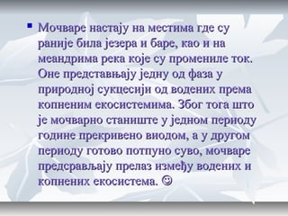 MoMoчваре настају на местима где сучваре настају на местима где су
раније била језера и баре, као и нараније била језера и баре, као и на
меандрима река које су промениле ток.меандрима река које су промениле ток.
Оне представњају једну од фаза уОне представњају једну од фаза у
природној сукцесији од водених премаприродној сукцесији од водених према
копненим екосистемима. Због тога штокопненим екосистемима. Због тога што
је мочварно станиште у једном периодује мочварно станиште у једном периоду
године прекривено виодом, а у другомгодине прекривено виодом, а у другом
периоду готово потпуно суво, мочварепериоду готово потпуно суво, мочваре
предсрављају прелаз између водених ипредсрављају прелаз између водених и
копнених екосистема.копнених екосистема. 
 