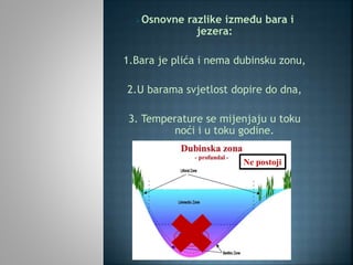 Osnovne razlike između bara i
jezera:
1.Bara je plića i nema dubinsku zonu,
2.U barama svjetlost dopire do dna,
3. Temperature se mijenjaju u toku
noći i u toku godine.
Ne postoji
 