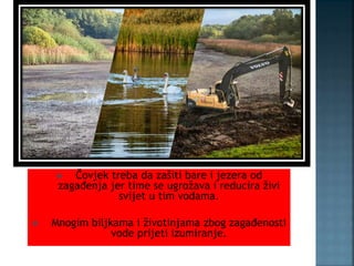  Čovjek treba da zašiti bare i jezera od
zagađenja jer time se ugrožava i reducira živi
svijet u tim vodama.
 Mnogim biljkama i životinjama zbog zagađenosti
vode prijeti izumiranje.
 