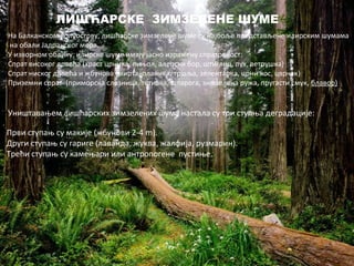 ЛИШЋАРСКЕ ЗИМЗЕЛЕНЕ ШУМЕ 
На Балканском полуострву, лишћарске зимзелене шуме су најбоље представљене илирским шумама 
на обали Јадранског мора. 
У изворном облику, илирске шуме имају јасно изражену спратовност: 
Спрат високог дрвећа (храст црника, пињол, алепски бор, штиглиц, пух, ветрушка) 
Спрат ниског дрвећа и жбунова (мирта, планика, тршља, зелентарка, црни кос, цврчак) 
Приземни спрат (приморска слезница, тетивка, шпарога, зимзелена ружа, пругасти смук, блавор) 
Уништавањем лишћарских зимзелених шума настала су три ступња деградације: 
Први ступањ су макије (жбунови 2-4 m). 
Други ступањ су гариге (лаванда, жуква, жалфија, рузмарин). 
Трећи ступањ су камењари или антропогене пустиње. 
 