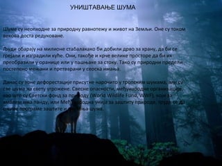 УНИШТАВАЊЕ ШУМА 
Шуме су неопходне за природну равнотежу и живот на Земљи. Оне су током 
векова доста редуковане. 
Људи обарају на милионе стабалакако би добили дрво за храну, да би се 
грејали и изградили куће. Они, такође и крче велике просторе да би их 
преобразили у оранице или у пашњаке за стоку. Тако су природни предели 
постепено мењани и претварани у сеоска имања. 
Данас су зоне дефорестације присутне нарочито у тропским шумама, али су 
све шуме на свету угрожене. Свесне опасности, међународне организације, 
као што су Светски фонд за природу (World Wildlife Fund, WWF), који за 
амблем има панду, или Међународна унија за заштиту природе, труде се да 
оживе програме заштите и очувања шума. 
