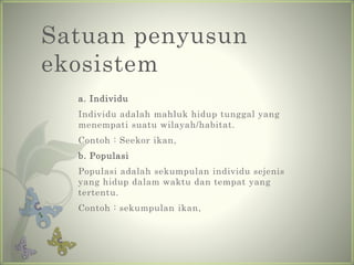 Contoh Individu Ekosistem Sungai (IPA VII) | PPTX