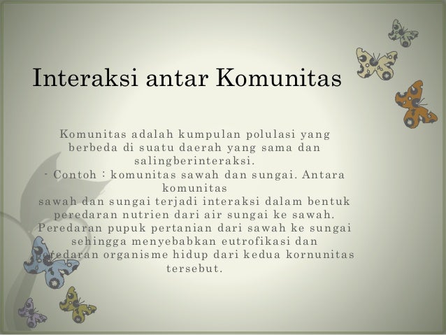Ekosistem Sungai (IPA VII)