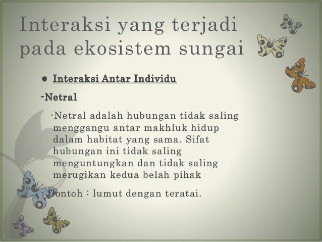 Ekosistem Sungai (IPA VII)