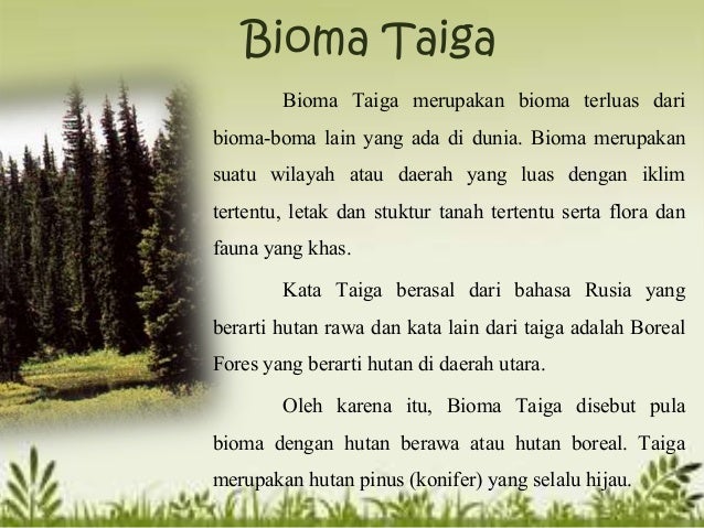 Ekosistem Taiga