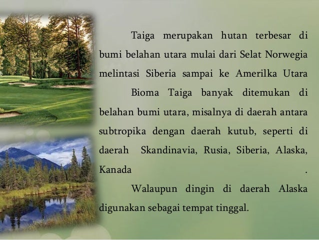 Ekosistem Taiga