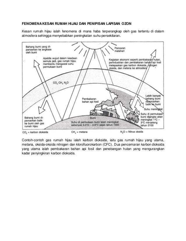 Contoh Folio Biologi Bab 9 - Contoh 193