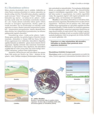 Ekosistemu ekologija (lasīt)