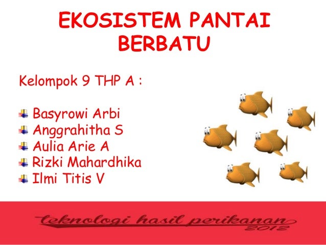 Ekositem Pantai Berbatu