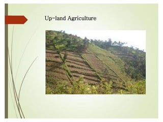 Up-land Agriculture
 