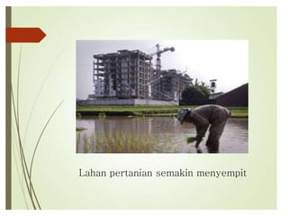 Lahan pertanian semakin menyempit
 