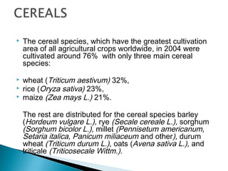  The cereal species, which have the greatest cultivation
area of all agricultural crops worldwide, in 2004 were
cultivate...