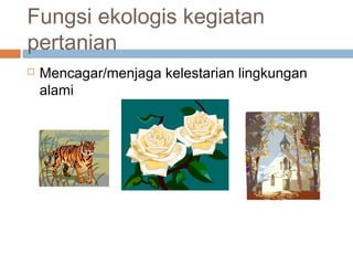 Fungsi ekologis kegiatan
pertanian
 Mencagar/menjaga kelestarian lingkungan
alami
 