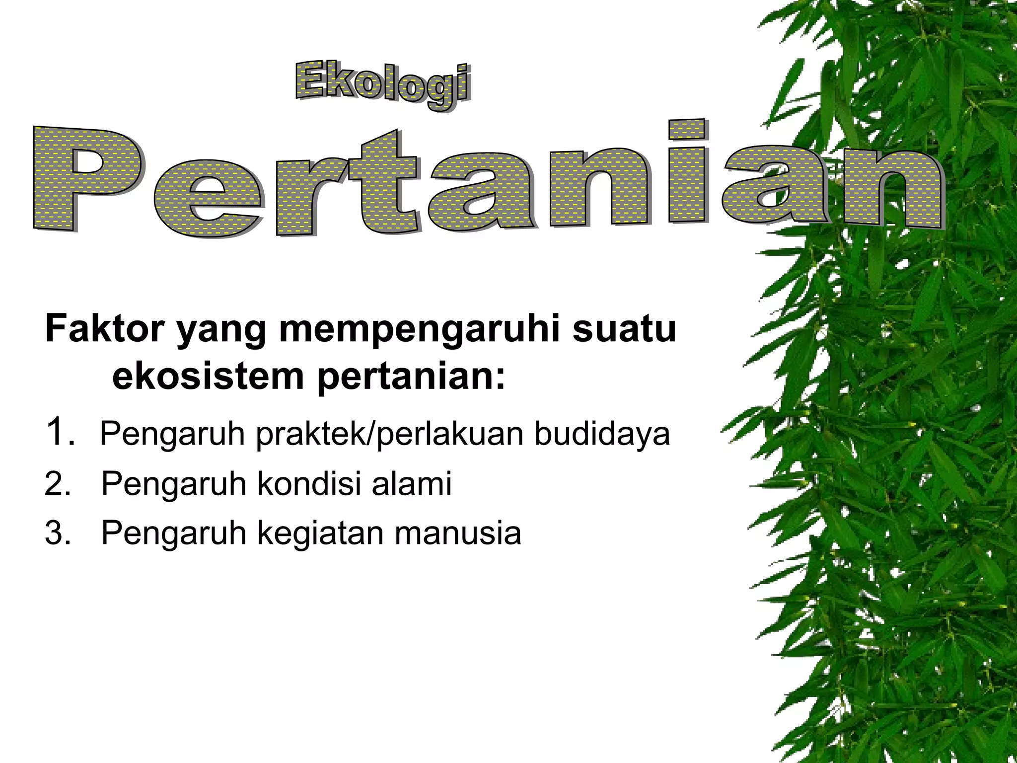 Faktor yang mempengaruhi suatu
ekosistem pertanian:
1. Pengaruh praktek/perlakuan budidaya
2. Pengaruh kondisi alami
3. Pengaruh kegiatan manusia