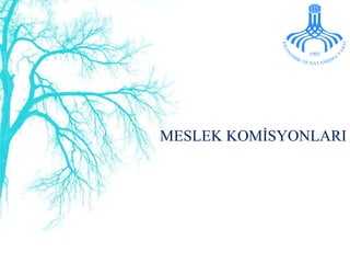 MESLEK KOMİSYONLARI 