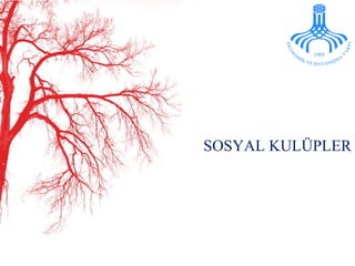 SOSYAL KULÜPLER 
