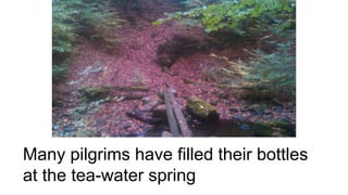 Many pilgrims have filled their bottles
at the tea-water spring
 