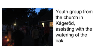 Youth group from
the church in
Kågeröd,
assisting with the
watering of the
oak
 