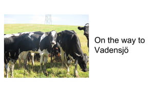 On the way to
Vadensjö
 