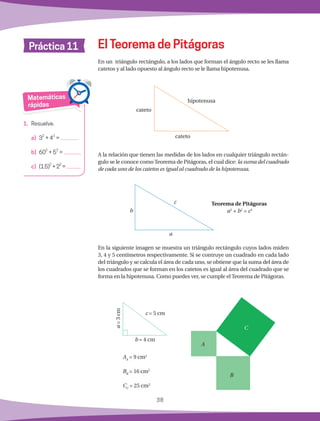 38
Práctica 11
En un triángulo rectángulo, a los lados que forman el ángulo recto se les llama
catetos y al lado opuesto al ángulo recto se le llama hipotenusa.
A la relación que tienen las medidas de los lados en cualquier triángulo rectán-
gulo se le conoce comoTeorema de Pitágoras, el cual dice: la suma del cuadrado
de cada uno de los catetos es igual al cuadrado de la hipotenusa.
En la siguiente imagen se muestra un triángulo rectángulo cuyos lados miden
3, 4 y 5 centímetros respectivamente. Si se contruye un cuadrado en cada lado
del triángulo y se calcula el área de cada uno, se obtiene que la suma del área de
los cuadrados que se forman en los catetos es igual al área del cuadrado que se
forma en la hipotenusa. Como puedes ver, se cumple el Teorema de Pitágoras.
El Teorema de Pitágoras
Matemáticas
rápidas
1.	 Resuelve.
a)	 3
2
+ 4
2
=
	
b)	 60
2
+ 5
2
=
	
c)	 (1.5)
2
+2
2
=
c = 5 cm
b = 4 cm
a=3cm
AA
= 9 cm2
BB
= 16 cm2
CC
= 25 cm2
hipotenusa
cateto
cateto
a
b
c Teorema de Pitágoras
a2
+ b2
= c2
A
B
C
 