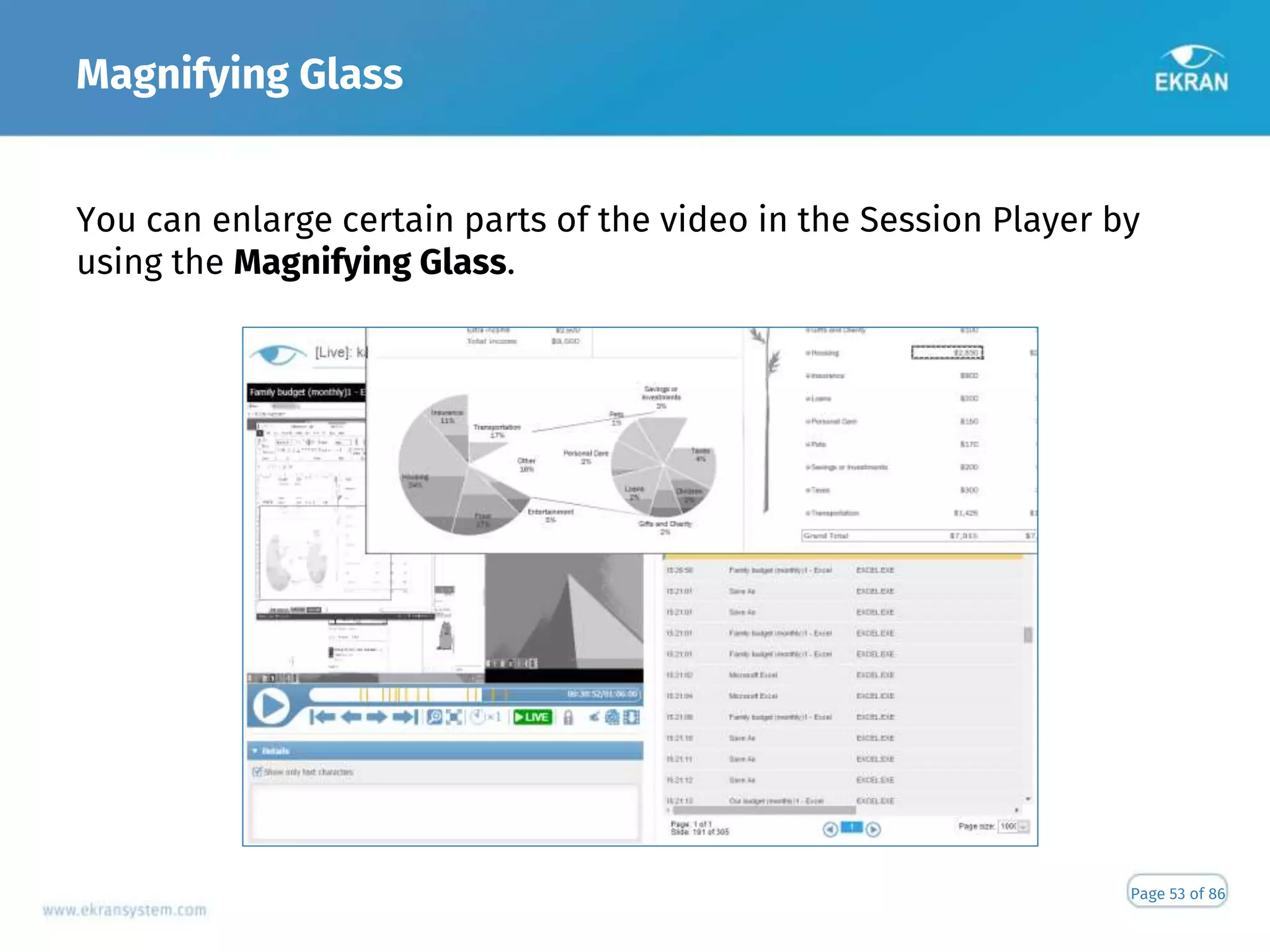 Magnifying Glass
Page 53 of 86
You can enlarge certain parts of the video in the Session Player by
using the Magnifying Glass.
 
