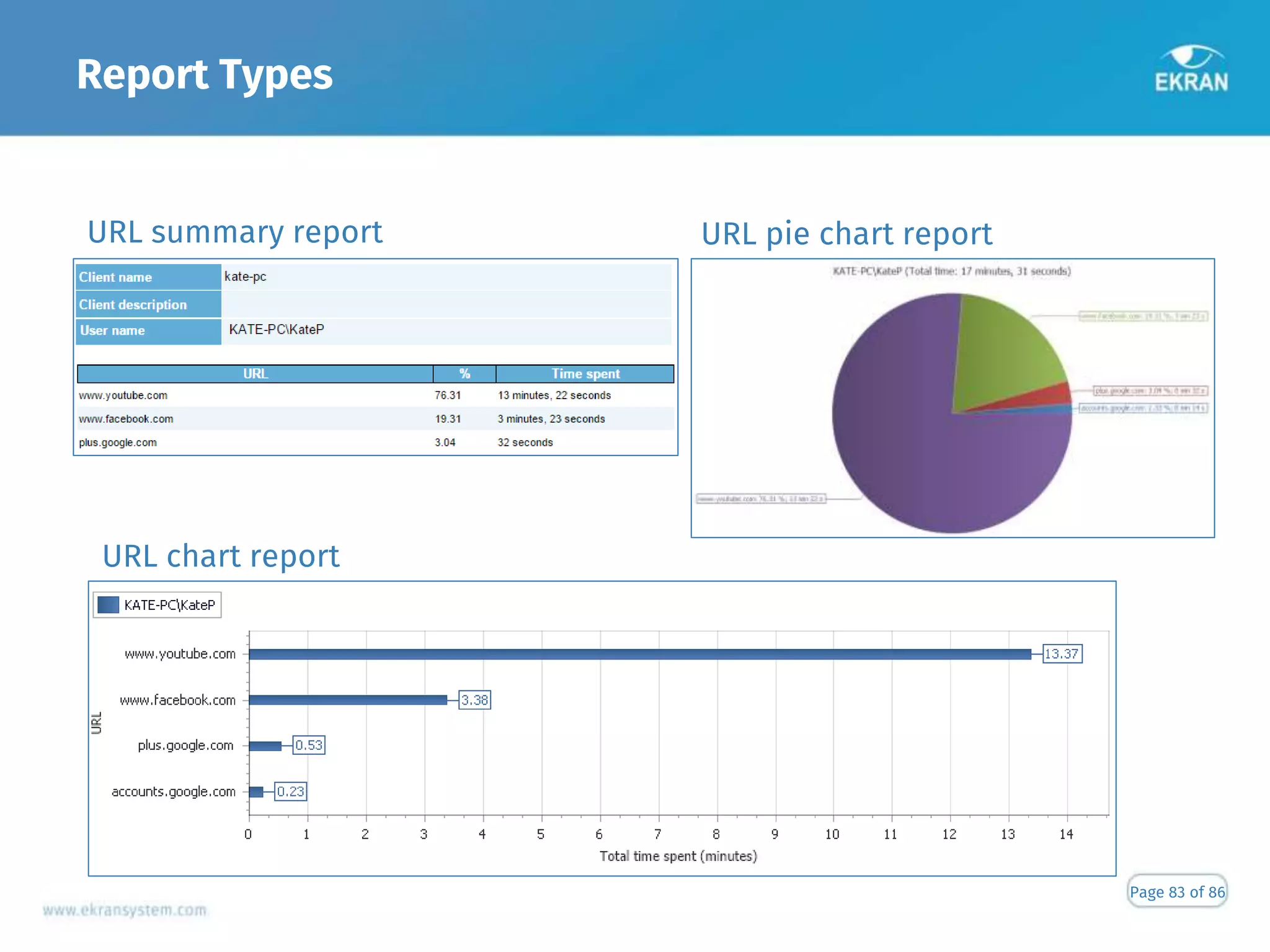 Report Types
Page 83 of 86
URL pie chart reportURL summary report
URL chart report
 