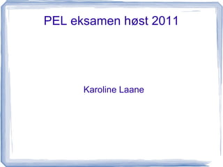PEL eksamen høst 2011 Karoline Laane 
