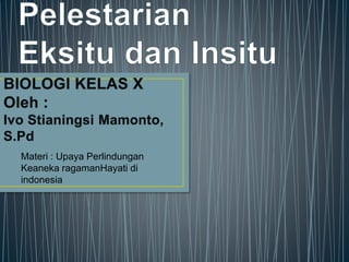Eksitu Insitu