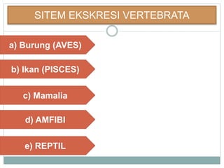 SITEM EKSKRESI VERTEBRATA
a) Burung (AVES)
b) Ikan (PISCES)
c) Mamalia
d) AMFIBI
e) REPTIL
 