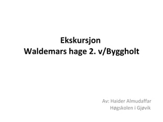 Ekskursjon   Waldemars hage 2. v/Byggholt    Av: Haider Almudaffar   Høgskolen i Gjøvik 