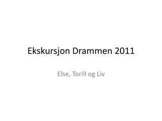 Ekskursjon Drammen 2011 Else, Torill og Liv 