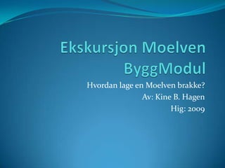 Ekskursjon Moelven ByggModul Hvordan lage en Moelven brakke? Av: Kine B. Hagen Hig: 2009 